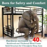 Netrum Twin over Twin Bunk Beds,Twin Bunk beds with Ladder & Guardrail,Metal Bunk Beds Frame with Bottom Storage Space for Adults Bedroom,Dorm,Guest Room,Black