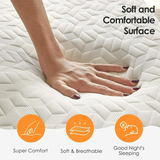 Netrum Twin Over Full Metal Bunk Bed Set with 6" Mattresses Included, All-in-One Bunk Bed for Teens/Adults, Heavy Duty Sturdy Frame with Ladder & Guardrail, with Memory Foam Mattress, Easy Assembly