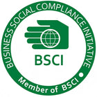 Bsci logo 5f4ea278 8d67 415e 8552 c171dfc178de